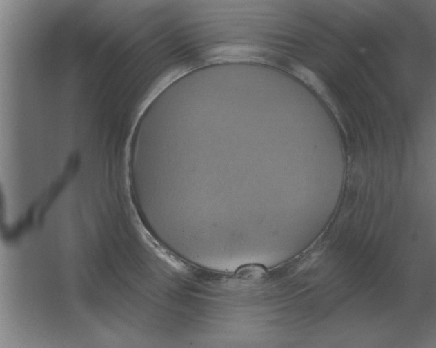 X0000067351386200604211950