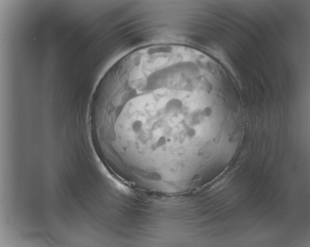 X0000067351387200604211950