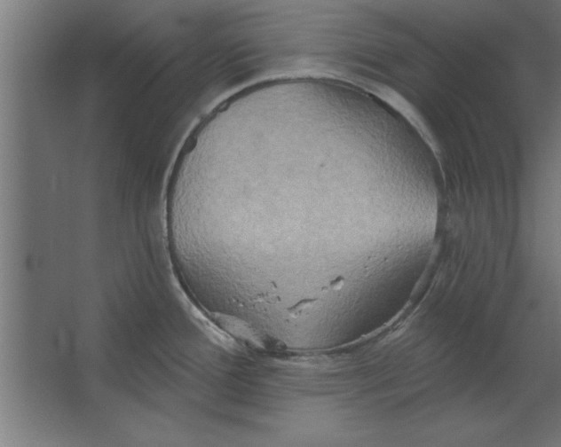 X0000067351388200604211950