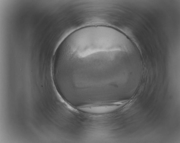 X0000067351390200604211950