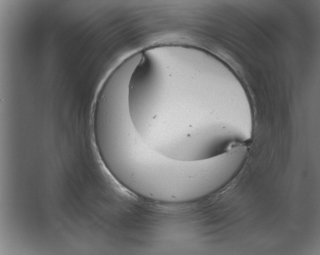 X0000067351392200604211950