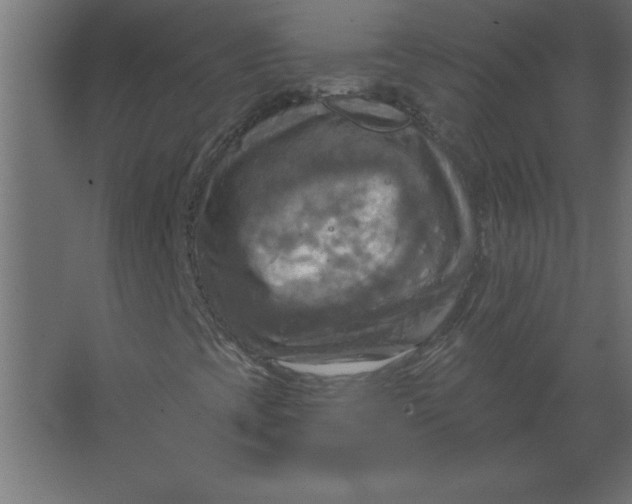 X0000067351393200604211949