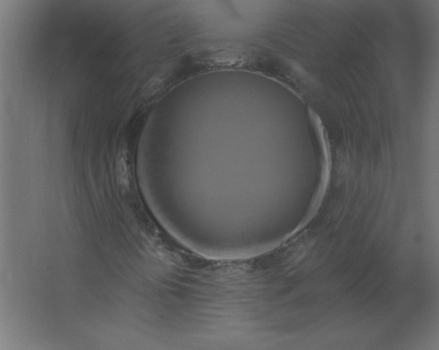 X0000067351394200604211949