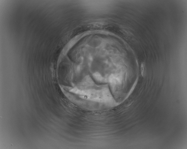 X0000067351395200604211949