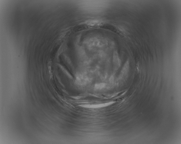 X0000067351396200604211949