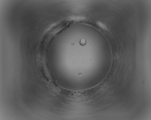 X0000067351398200604211949