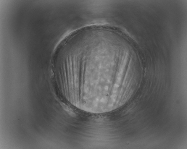 X0000067351400200604211949