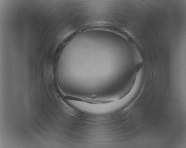 X0000067351402200604211949