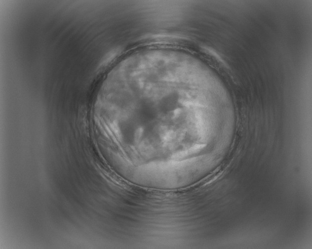 X0000067351403200604211949