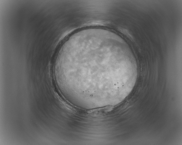 X0000067351404200604211949