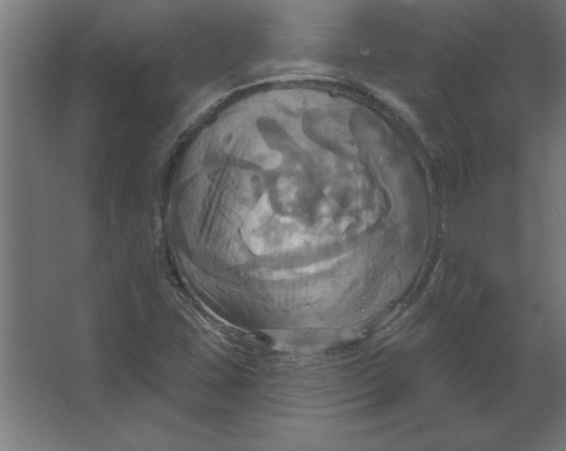 X0000067351407200604211949