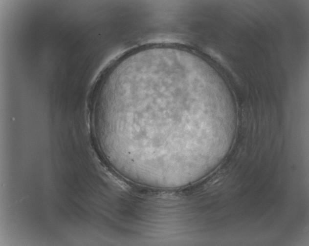 X0000067351408200604211949