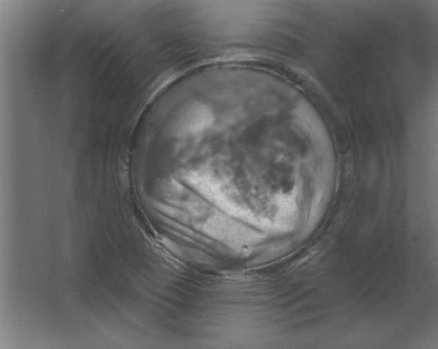 X0000067351409200604211949