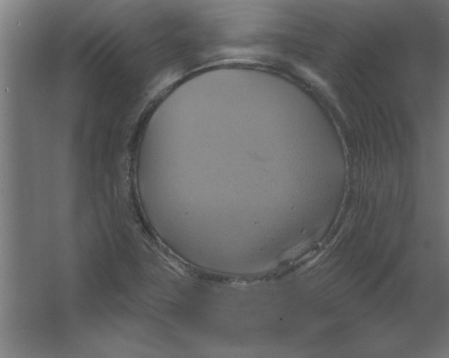 X0000067351411200604211949