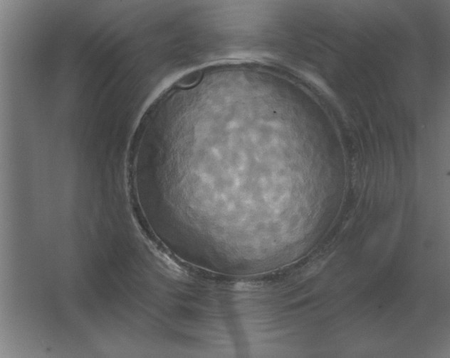 X0000067351412200604211950