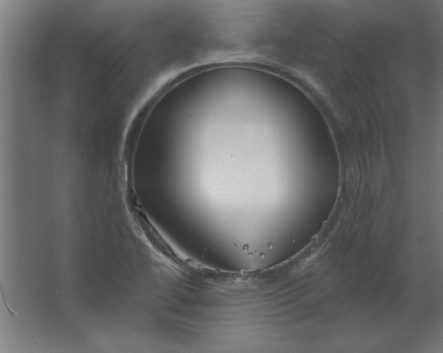 X0000067351414200604211950