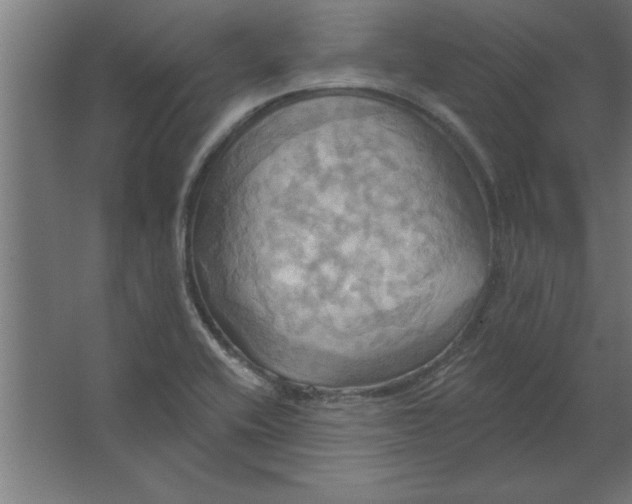 X0000067351416200604211950