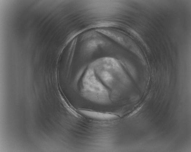 X0000067351417200604211950