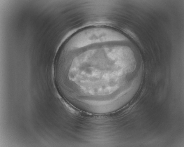 X0000067351420200604211950