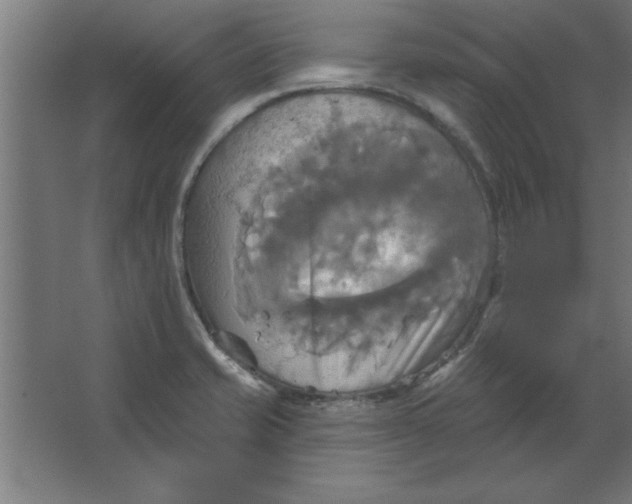 X0000067351421200604211950