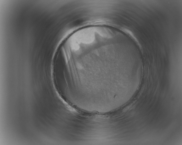 X0000067351424200604211950