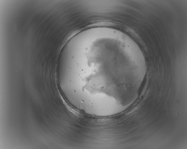 X0000067351425200604211950