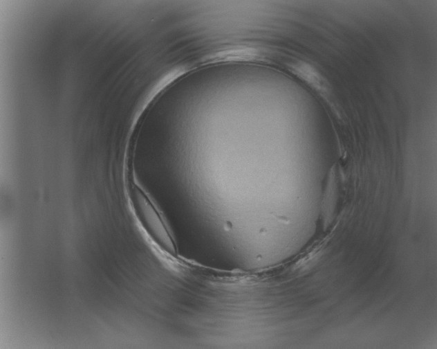 X0000067351426200604211950