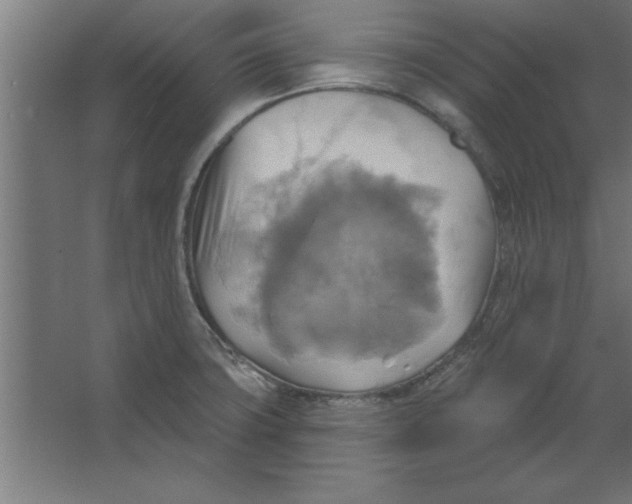 X0000067351427200604211950