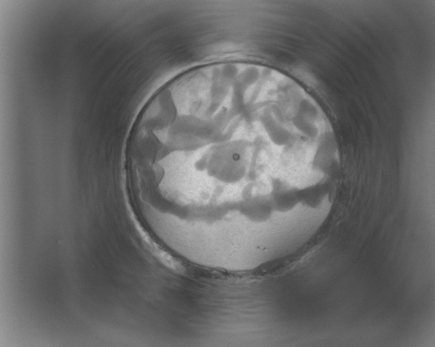 X0000067351431200604211950