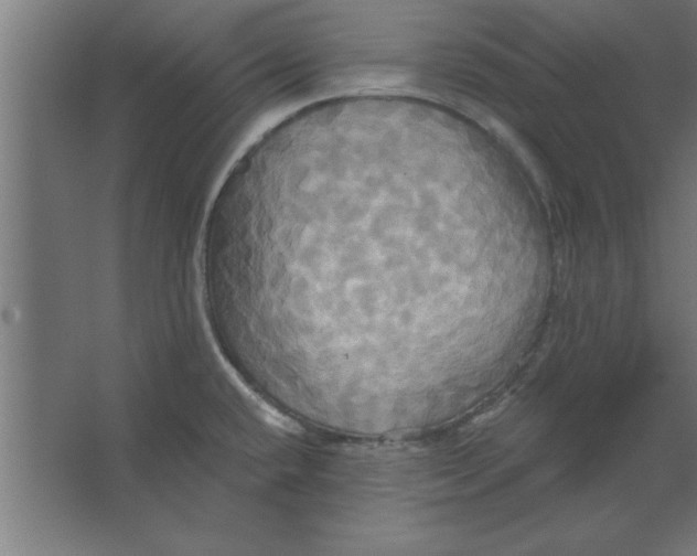 X0000067351432200604211950