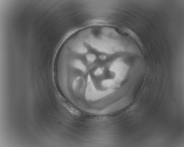 X0000067351435200604211950