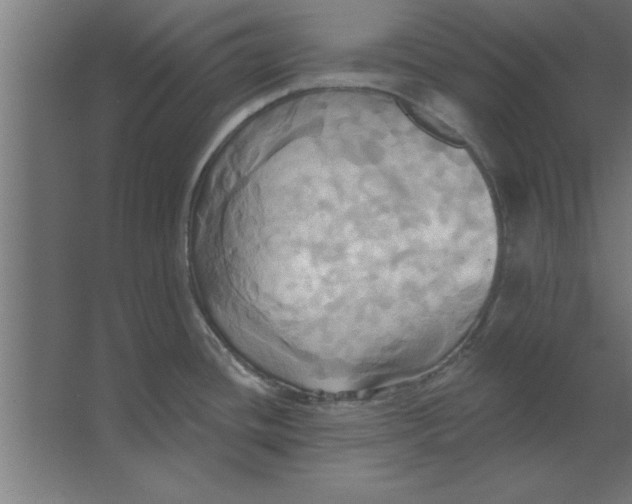 X0000067351436200604211950