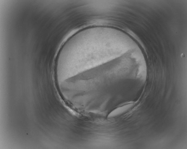 X0000067351437200604211950