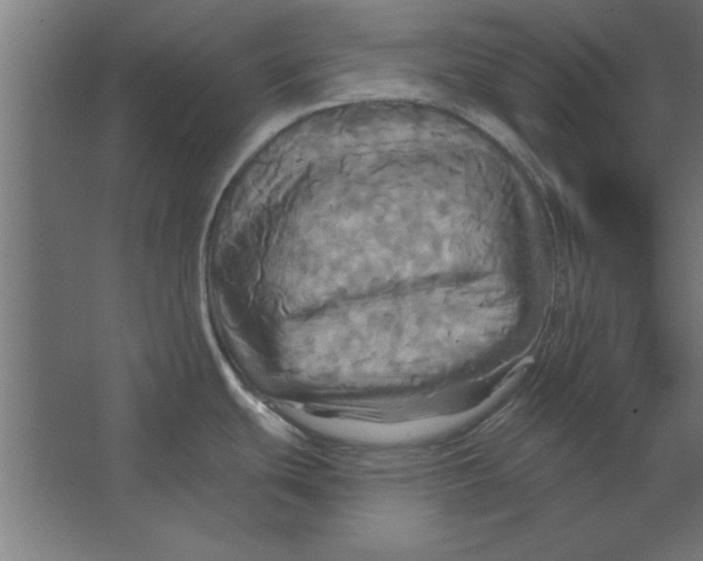 X0000067351439200604211950