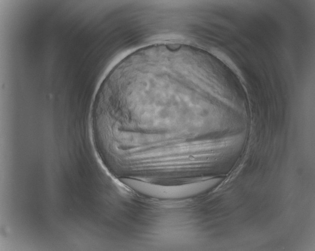 X0000067351440200604211950