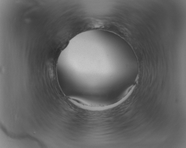 X0000067351442200604211949