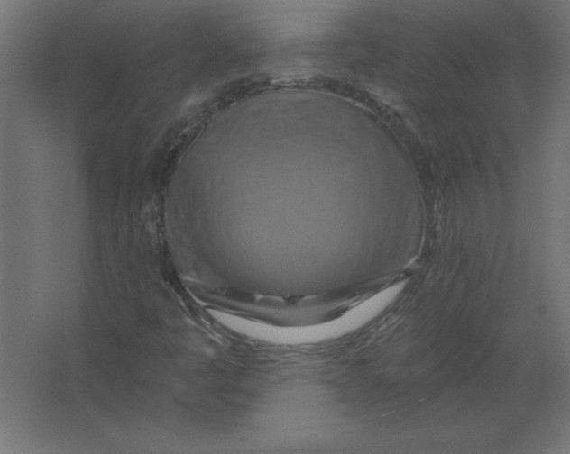 X0000067351445200604211949