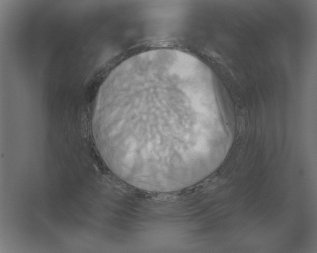 X0000067351446200604211949