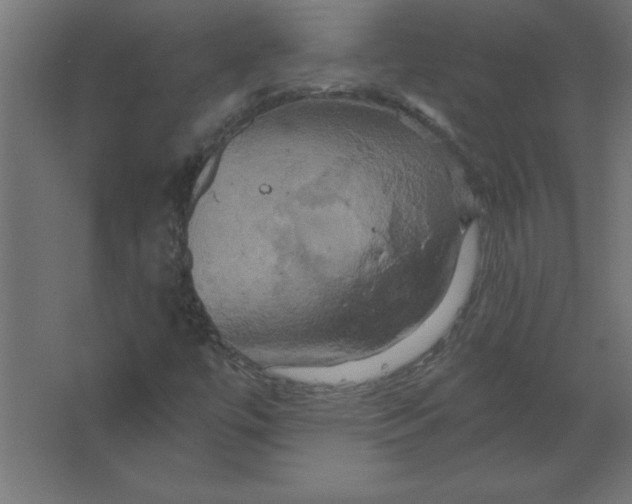 X0000067351447200604211949