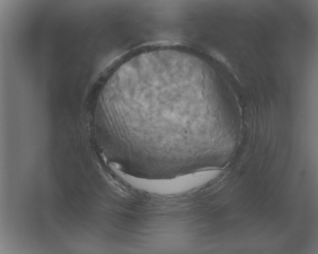 X0000067351448200604211949