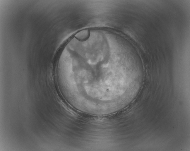 X0000067351452200604211949