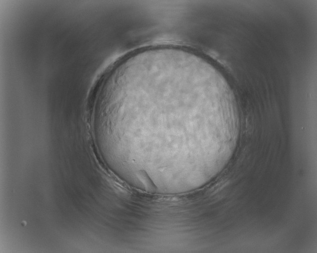 X0000067351454200604211949