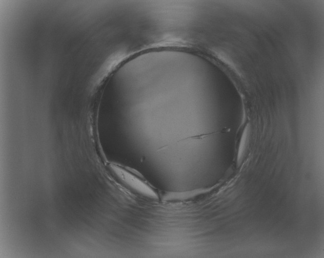 X0000067351455200604211949