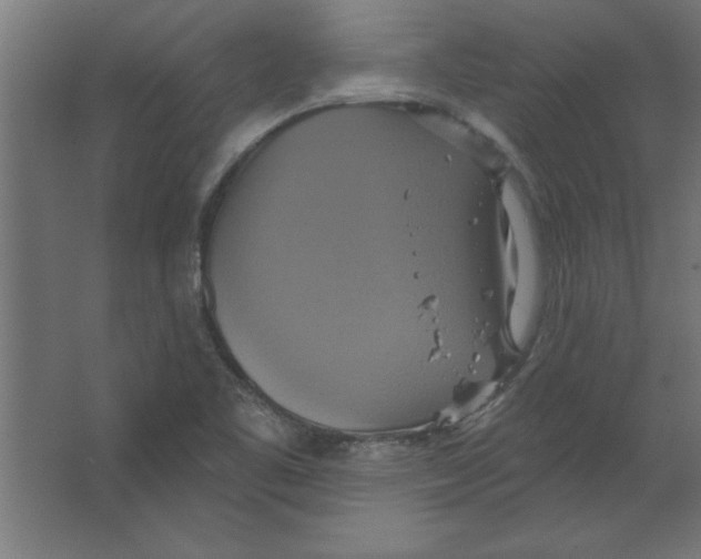 X0000067351461200604211949