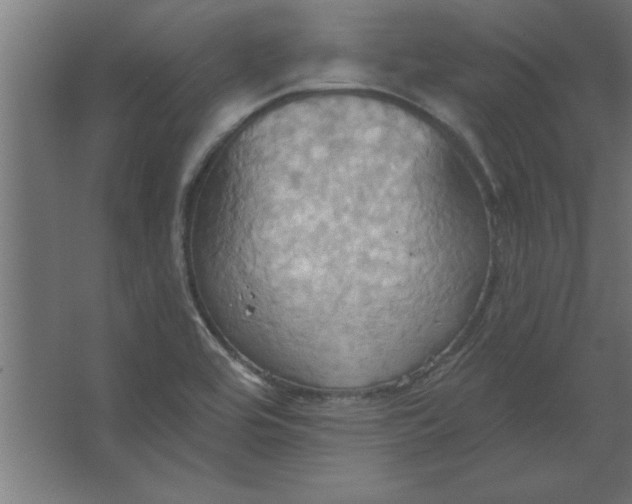 X0000067351464200604211949