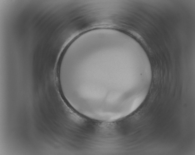 X0000067351466200604211949