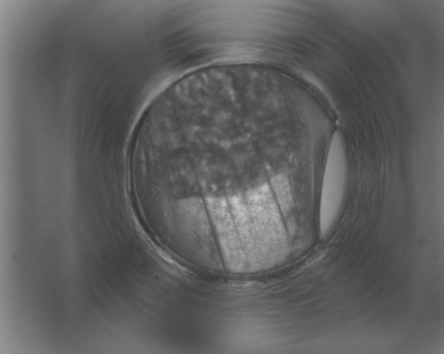 X0000067351467200604211949