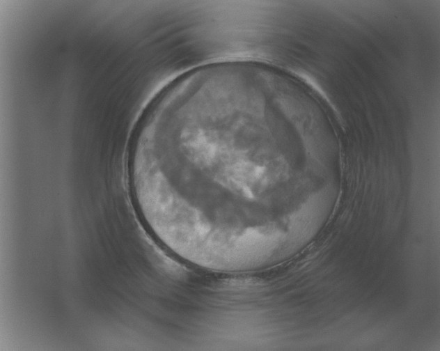 X0000067351468200604211949