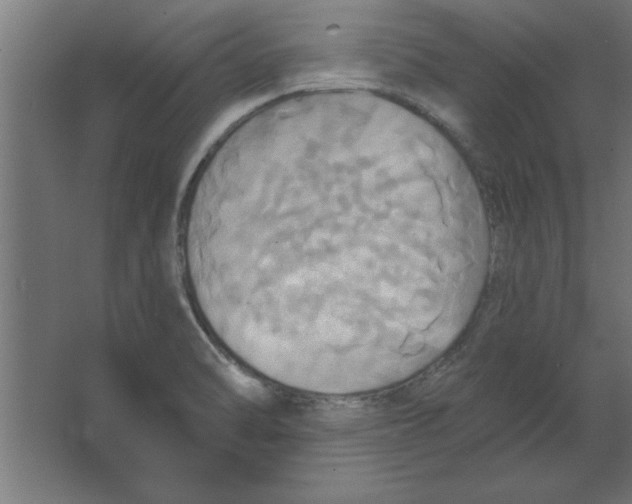 X0000067351470200604211949