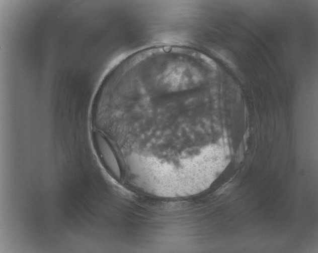 X0000067351471200604211949